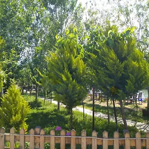 Frühstückspension Deniz Kizi Garden, Gümüldür